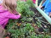 Zahradničíme ve školce